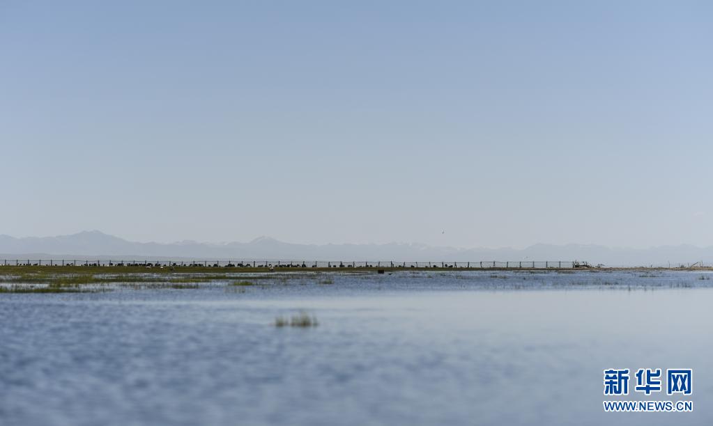 中国最大内陆咸水湖——青海湖