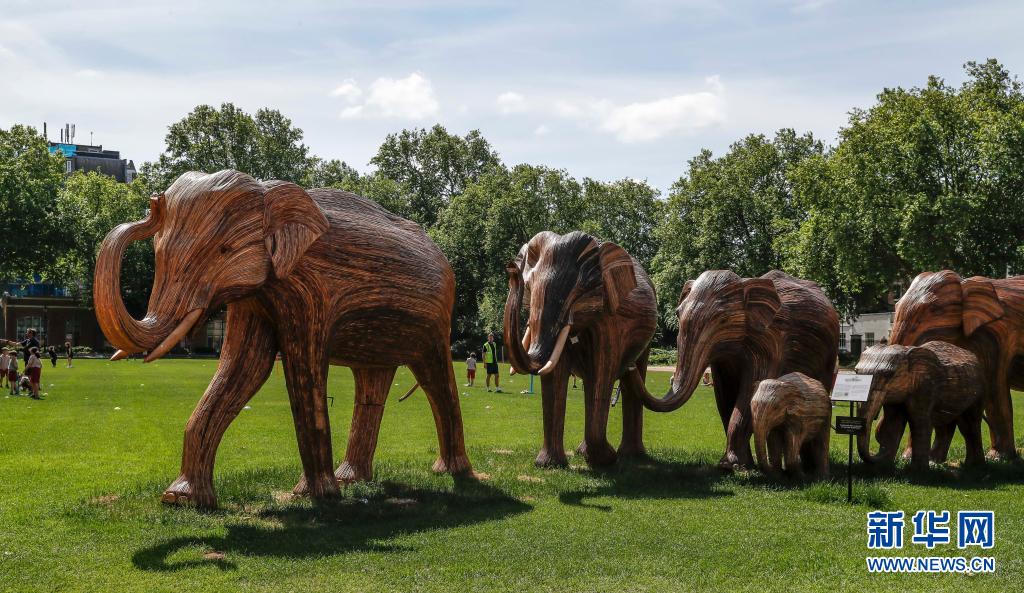 英国伦敦：城里来了一群“象”