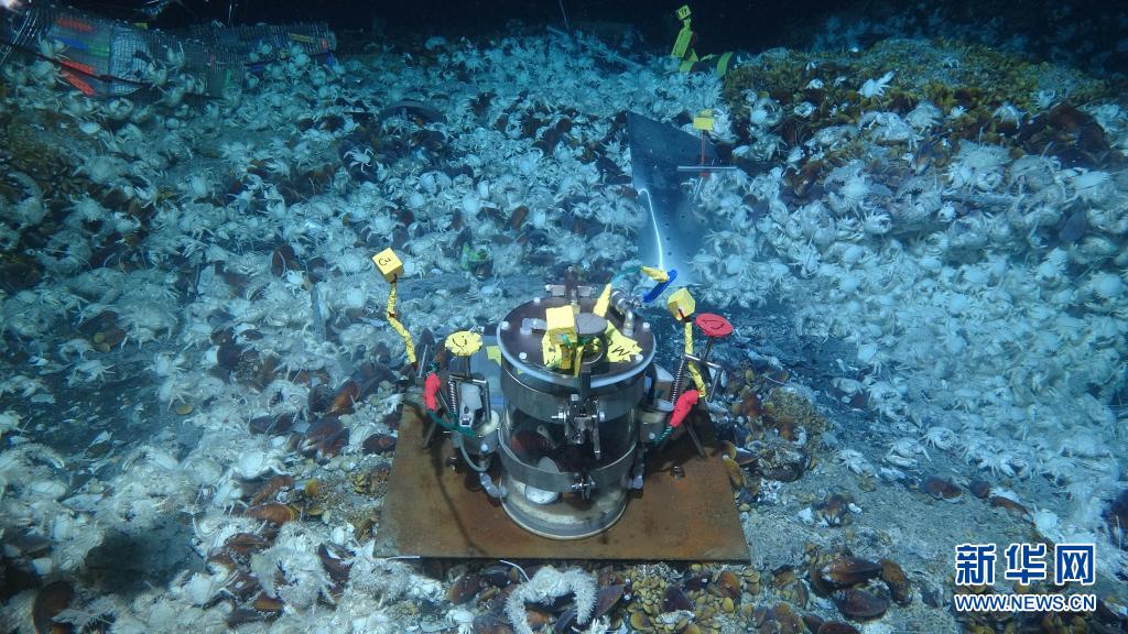“科学”号科考船圆满完成“在海底做实验”任务
