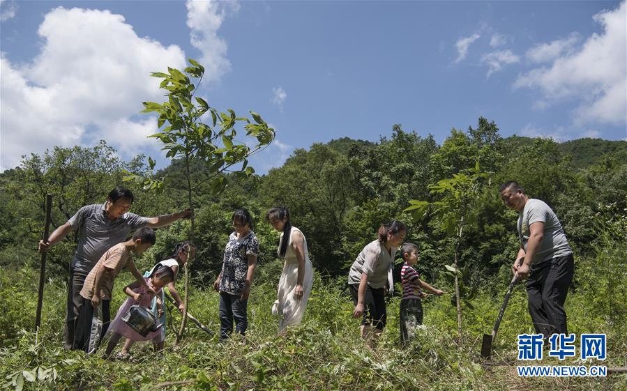 （习近平的小康故事&middot;图文互动）（3）&ldquo;让孩子们都生活在良好的生态环境之中&rdquo;&mdash;&mdash;习近平抓生态保护的故事