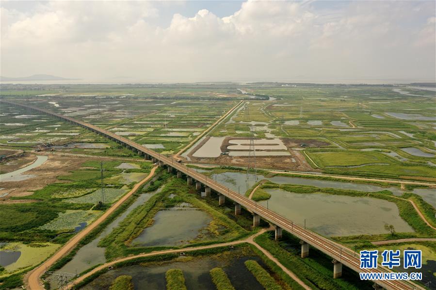 （环境）（1）安徽：蓄洪区修复 重现生态湿地