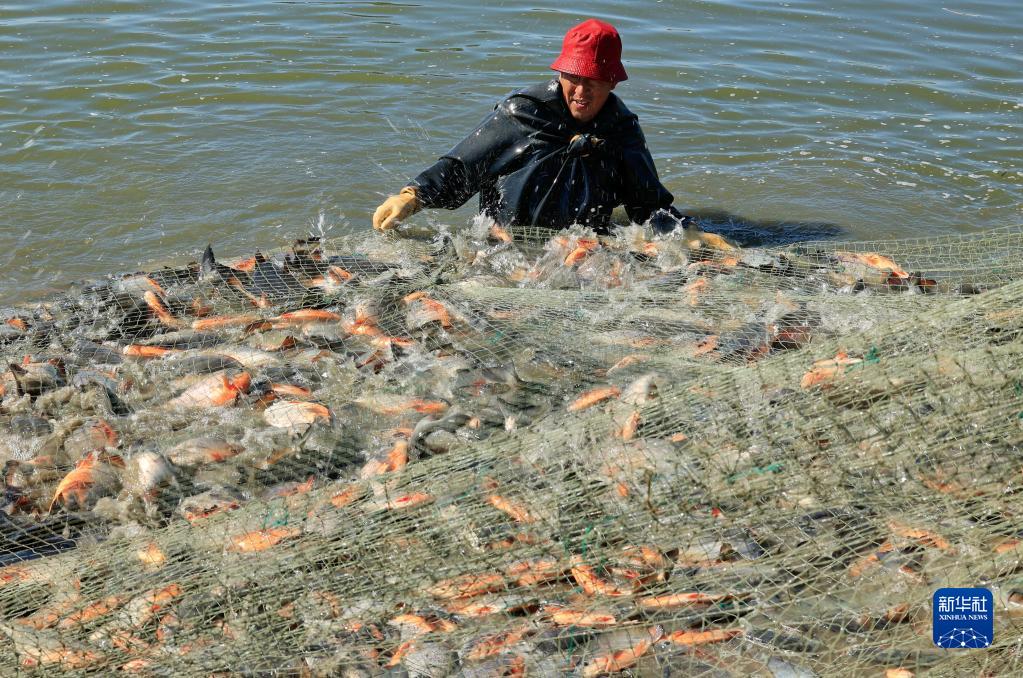 河北丰南:生态水产养殖助增收