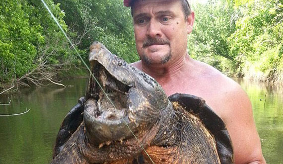 美国男子钓到重达90斤巨型“鳄龟”
