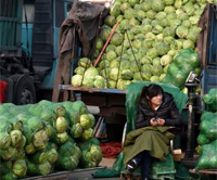 &ldquo;菜贱伤农&rdquo;难题不能只靠&ldquo;雪中送炭&rdquo;