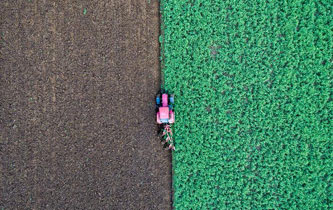 一周看天下：犁地