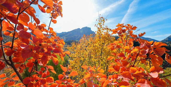 北京秋色正当时