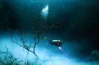 摄影师潜入丛林落水洞