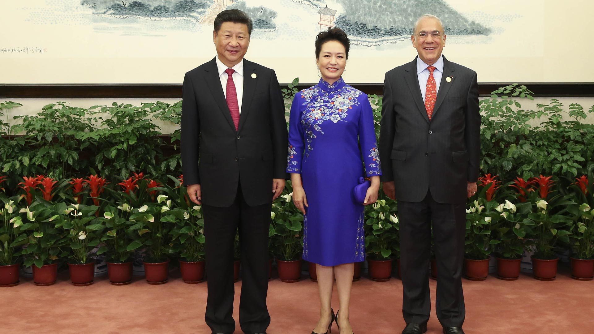 习近平的G20时间精彩图集