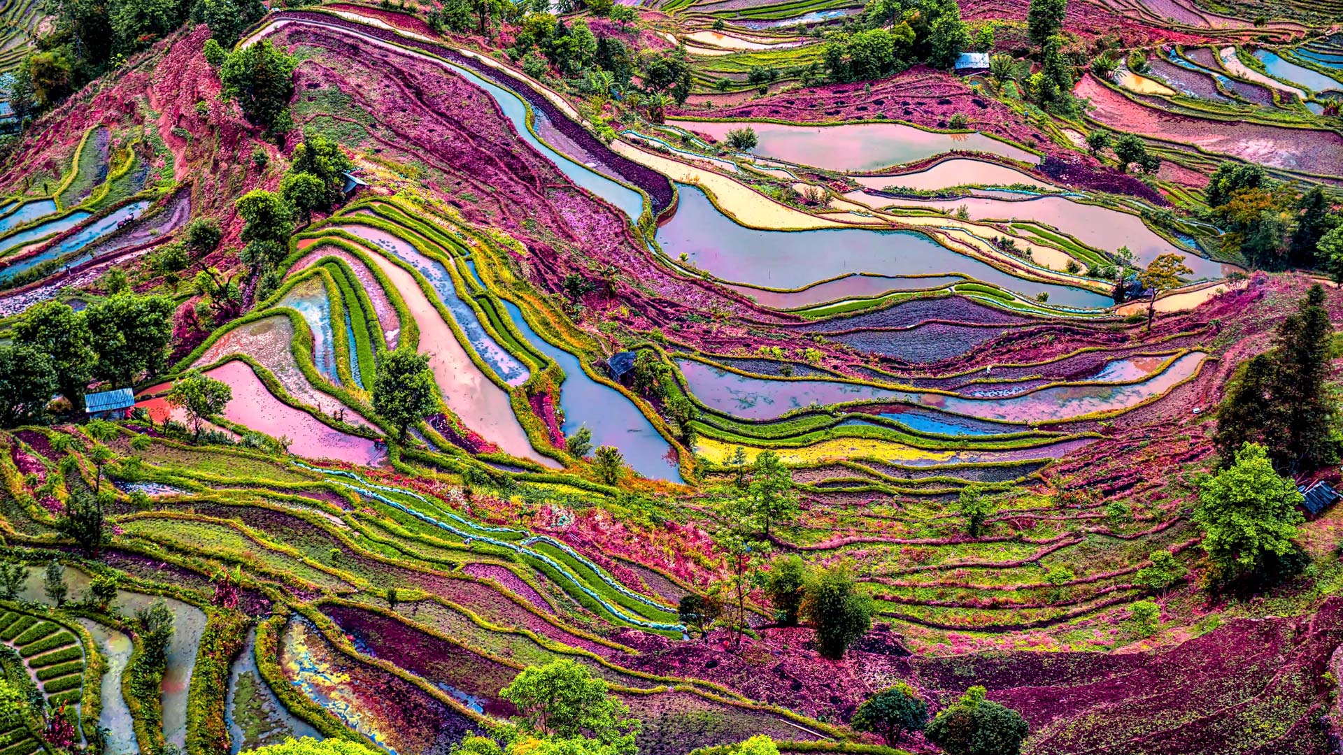 【图刊】大自然画出的色彩天堂