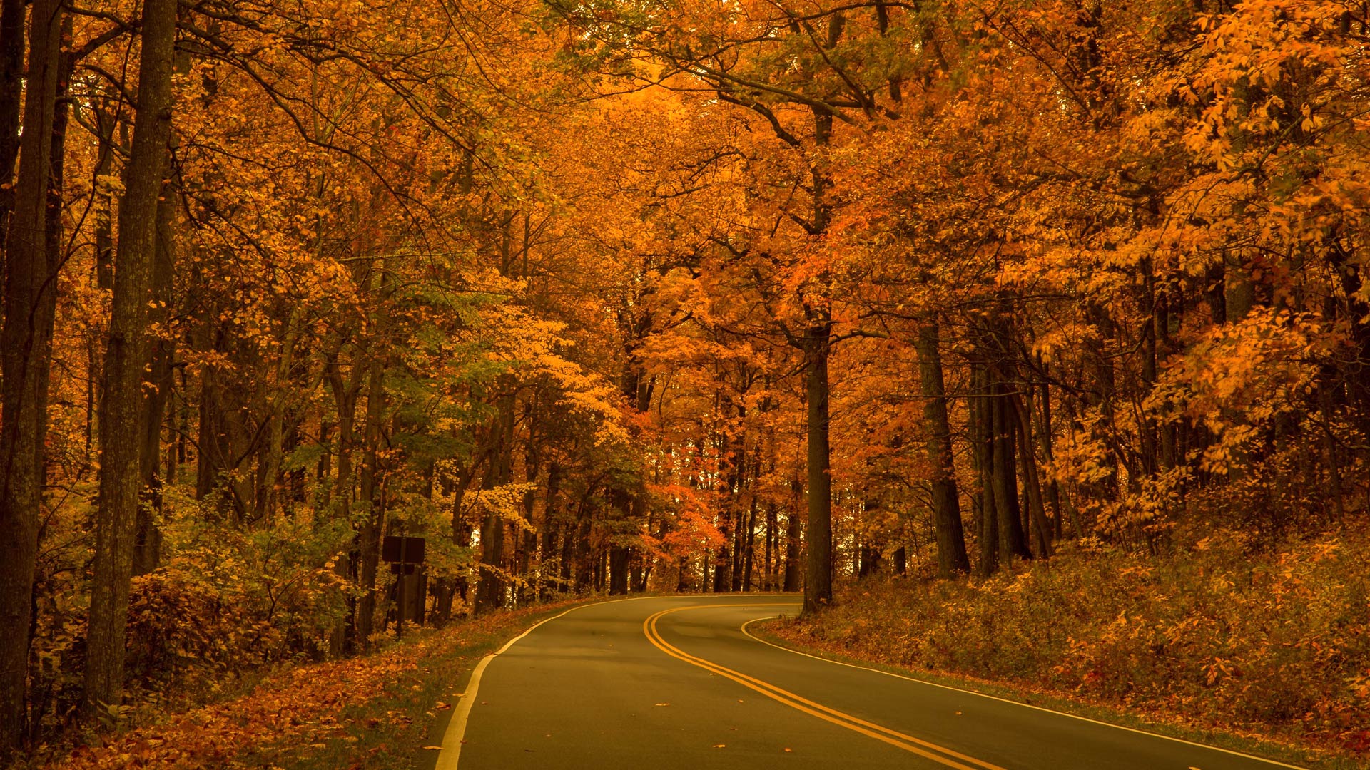 【图刊】大自然画出的色彩天堂