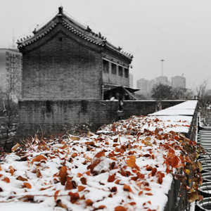 11月21日，北京迎来今年冬季首次大面积降雪。整个大地都覆盖了薄薄的一层雪，景色醉人。