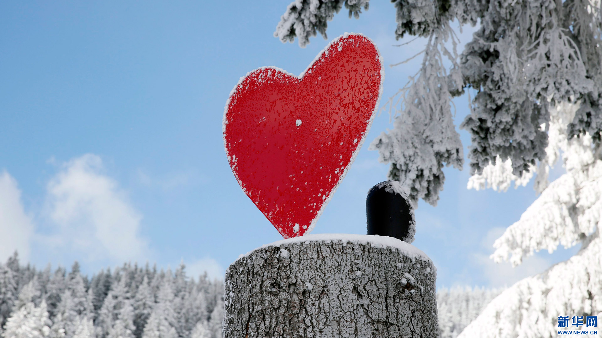 【高清图集】晶莹剔透的冰雪世界:图片记录冬