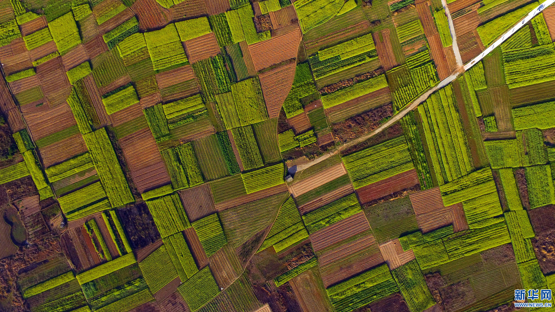 春回华夏披新绿 航拍大地 几何装