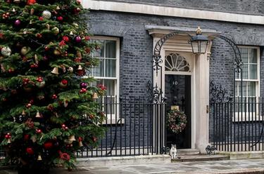 英國首相府的&ldquo;首席捕鼠官&rdquo;拉裏