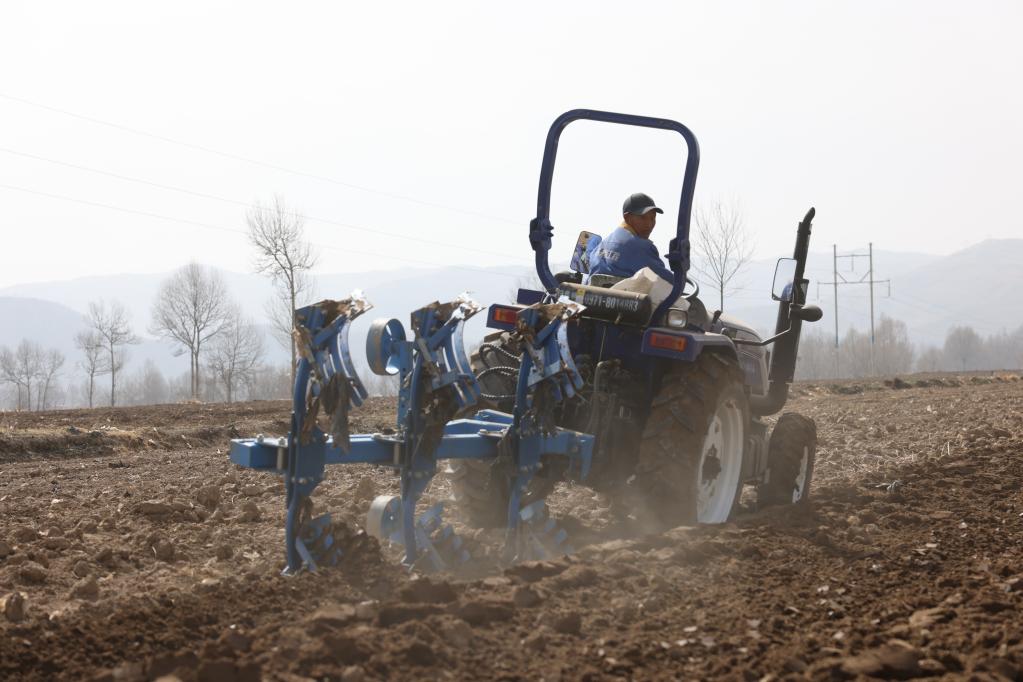 &ldquo;小洋芋&rdquo;折射高原乡村之变