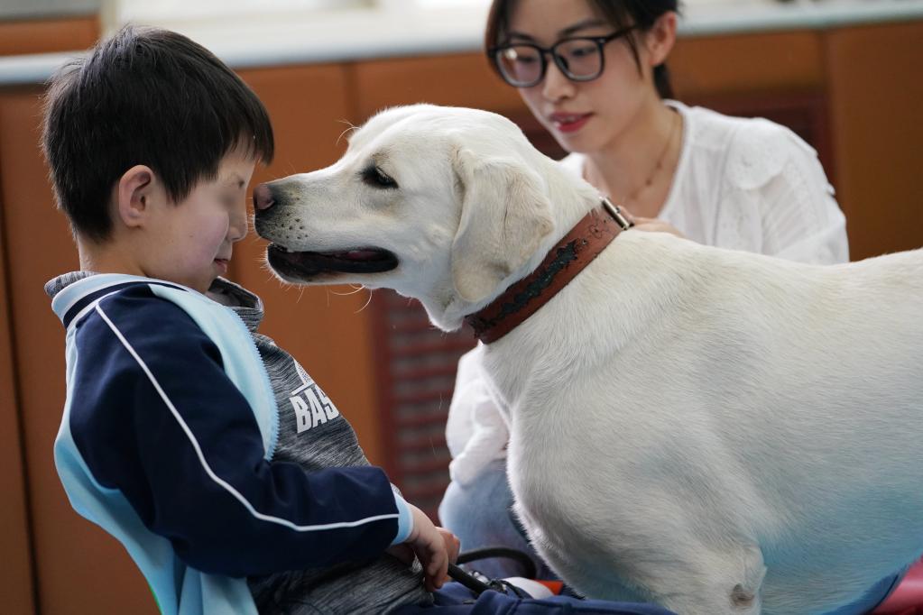 新華全媒+丨“轉業”導盲犬的愛心守護