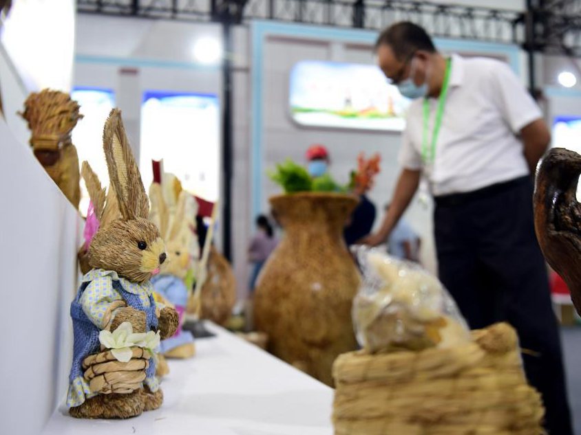 新华全媒+丨秸秆利用 变废为宝&mdash;&mdash;打卡&ldquo;安徽秸秆博览会&rdquo;