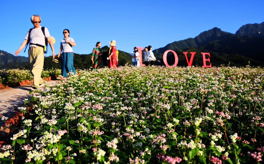 新华全媒+丨西安：发展&ldquo;农业景区&rdquo; 助力乡村振兴