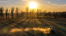 新华全媒+｜吉林：秋粮收储进行时 &ldquo;翻地越冬&rdquo;备明春