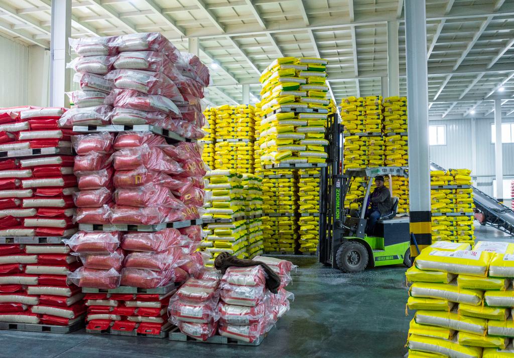 新华全媒+丨产粮第一大省为&ldquo;中国饭碗&rdquo;添米加饭