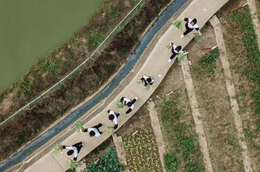 &ldquo;校园农场&rdquo;体验丰收农忙