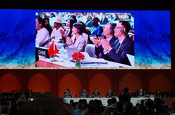 &ldquo;中国传统制茶技艺及其相关习俗&rdquo;申遗成功
