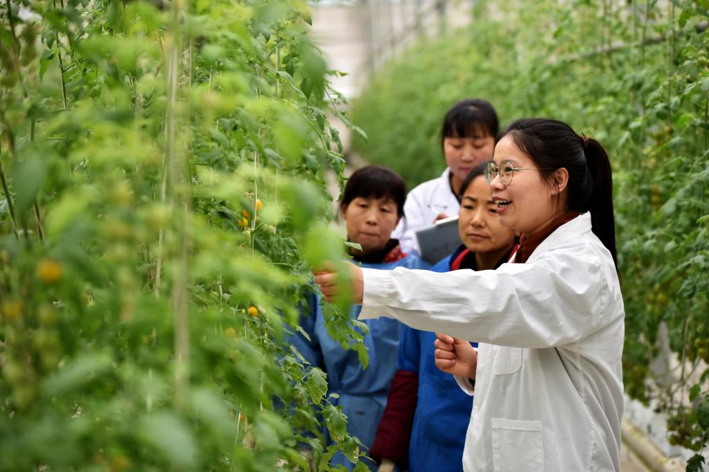 新华全媒+丨&ldquo;90后&rdquo;返乡新农人的新春记事