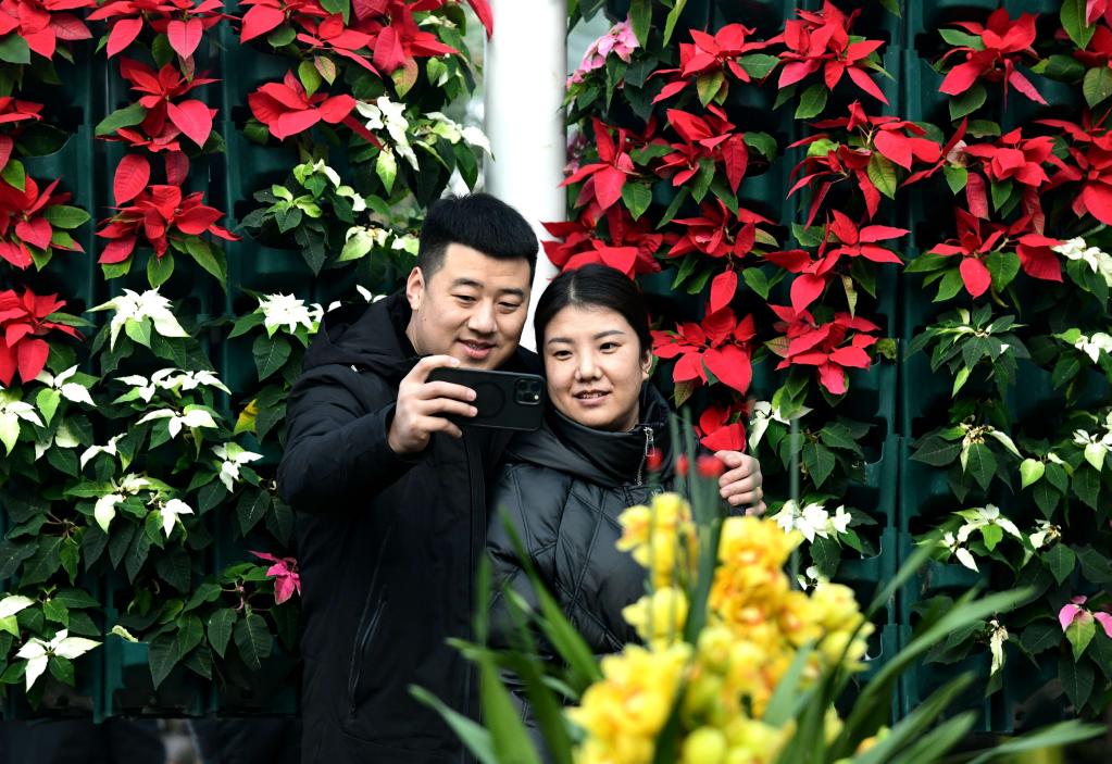 &ldquo;花&rdquo;式春节年味浓