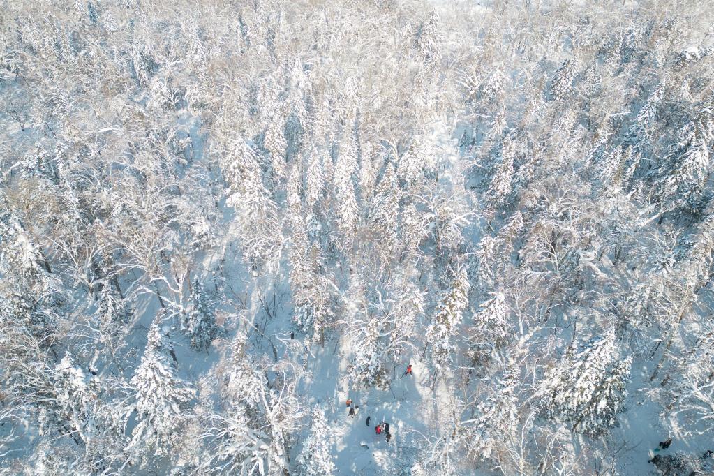 走进牡丹江&ldquo;冰雪画廊&rdquo;