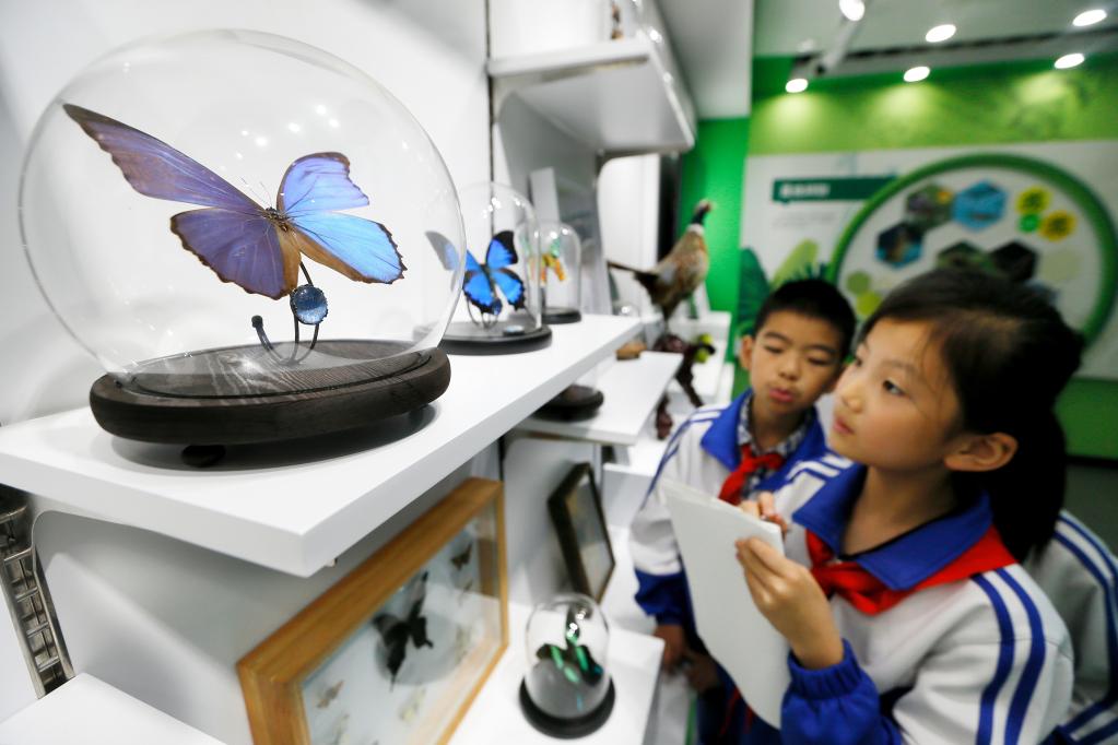 &ldquo;科普课堂&rdquo;感受生物多样性