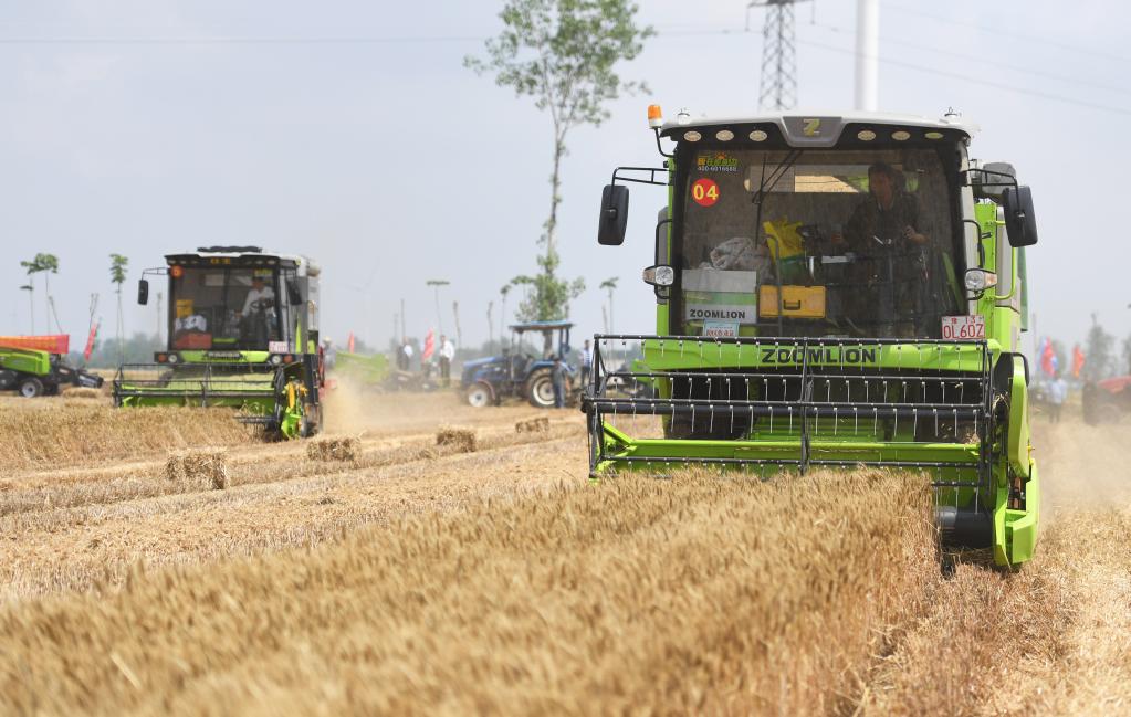 新华全媒+丨机收&ldquo;比武&rdquo;保丰收 &ldquo;中原粮仓&rdquo;迎来麦收时刻