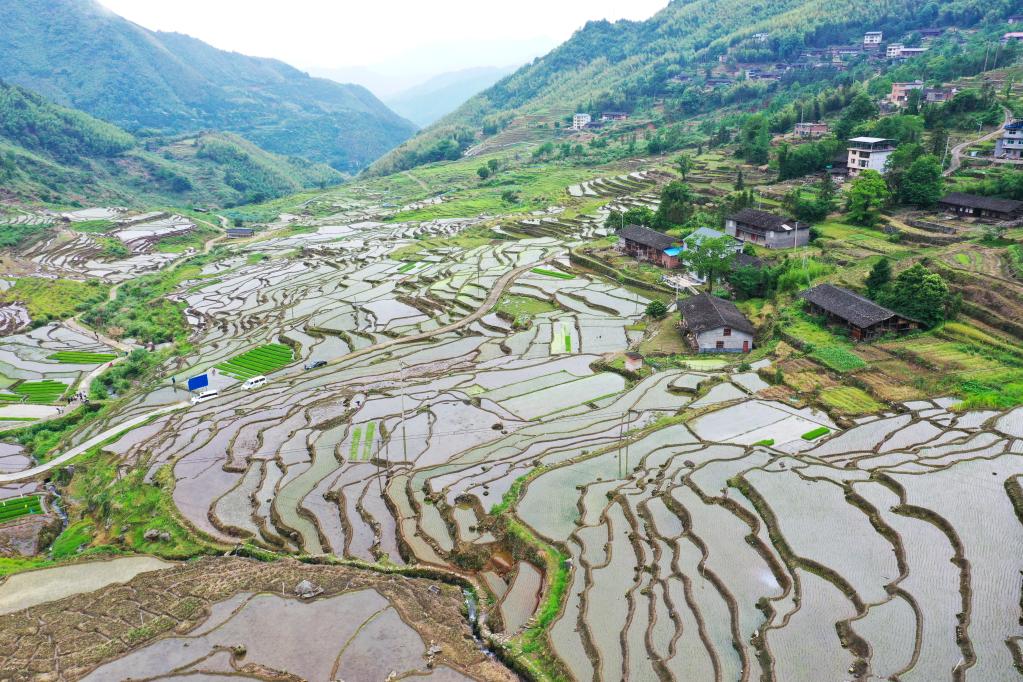 福建尤溪:联合梯田重焕生机