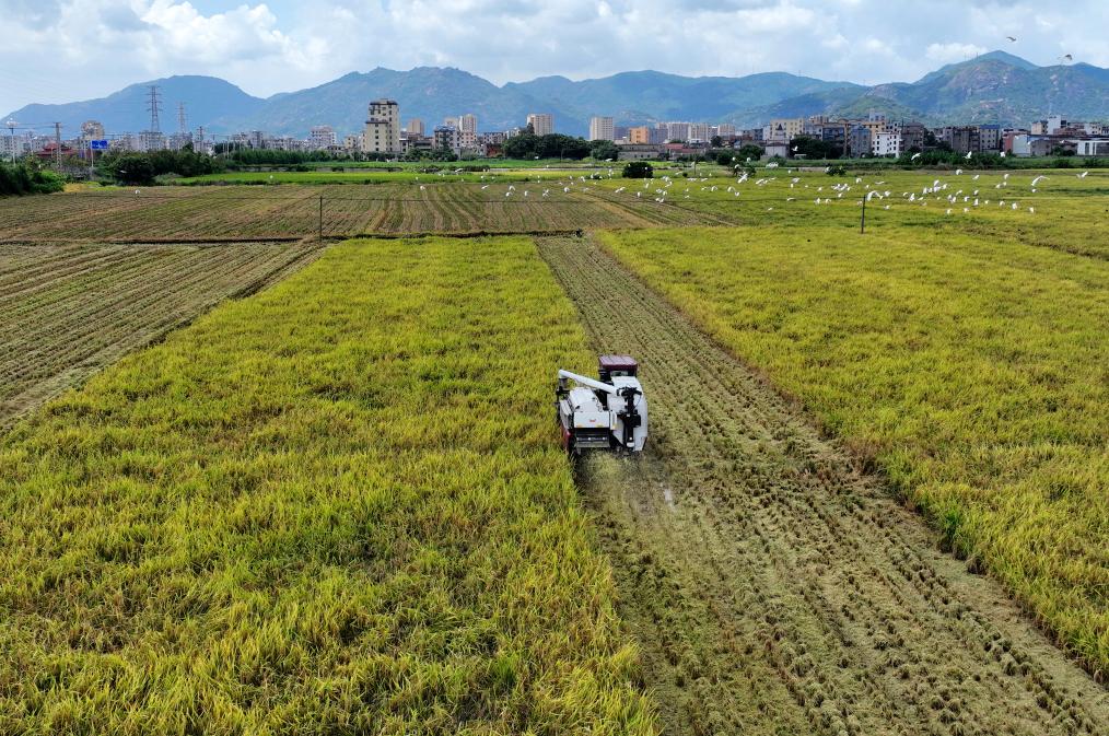 盛夏时节&ldquo;双抢&rdquo;忙