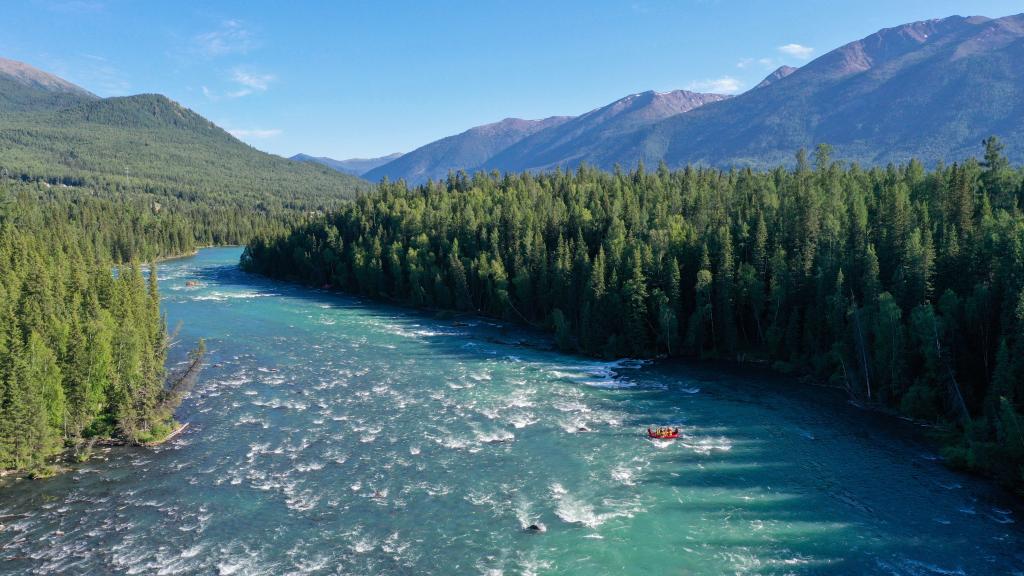 新疆喀纳斯景区进入旅游黄金期