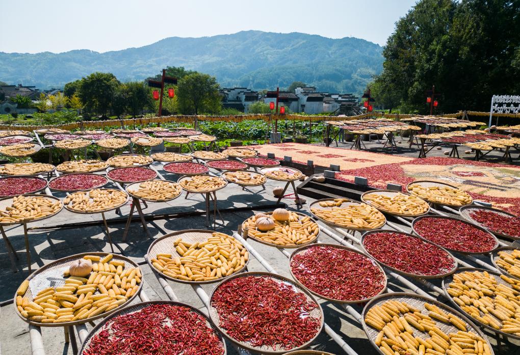 美丽中国丨皖南晒秋&ldquo;画&rdquo;丰收