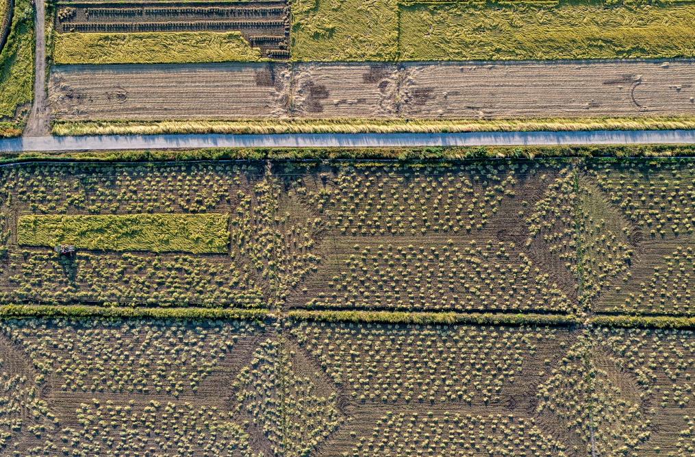 农机入田 农技下乡&mdash;&mdash;吉林力争当好国家粮食稳产保供&ldquo;压舱石&rdquo;