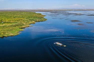 新时代中国调研行&middot;黄河篇|守望乌梁素海的大学生们