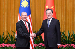 丁薛祥會見馬來西亞副總理法迪拉