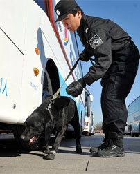 记者装酷姑娘扮靓