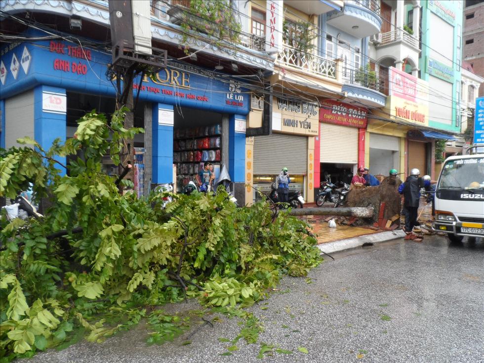 台风山竹在越南北部地区登陆