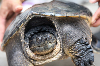 沈陽現&ldquo;山寨&rdquo;奢侈品店群