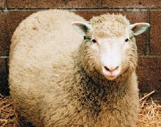 历史上的今天（7月5日）