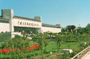 历史上的今天（7月6日）