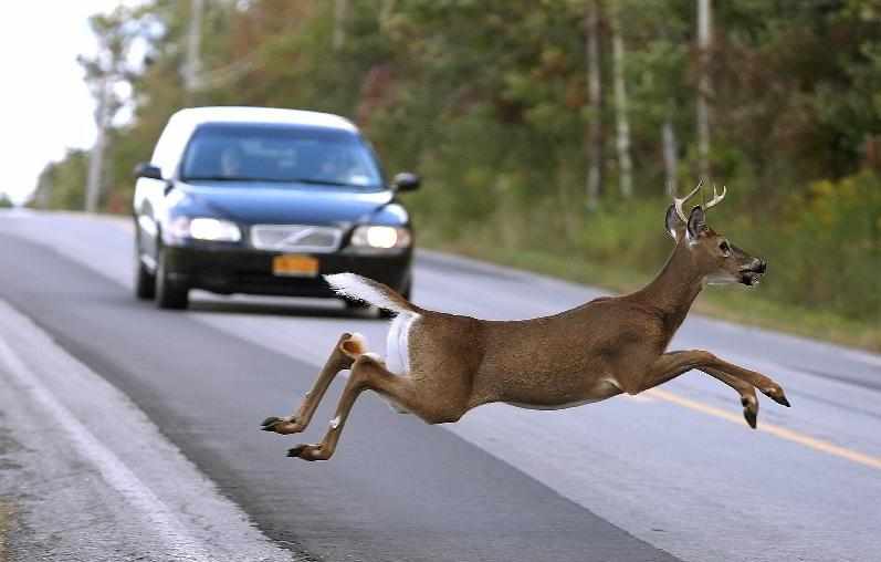 一周看天下(9月30日)