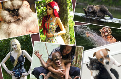 【奇趣周刊】&ldquo;愤怒猫&rdquo;走红 真人美女变娃娃