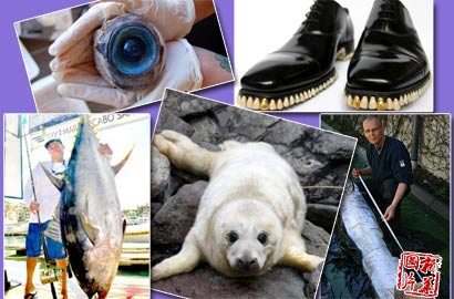 【奇趣周刊】96岁老翁当爹 海滩惊现巨眼