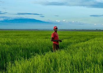 一周国际热图：美大选辩论结束 石原慎太郎辞职