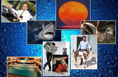 【奇趣周刊】毛虫罕见骷髅脸 球场天空降鲨鱼