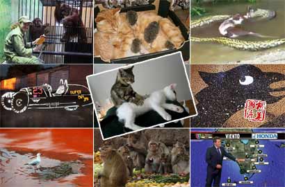 【奇趣周刊】航母style走红 最高摩天楼将落户长沙