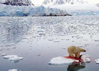 一周国际热图：全球圣诞季来临 阿拉法特开棺